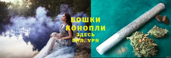 бошки Алексин