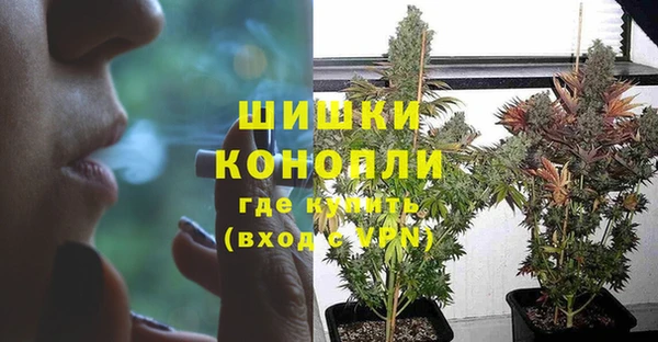 бошки Алексин