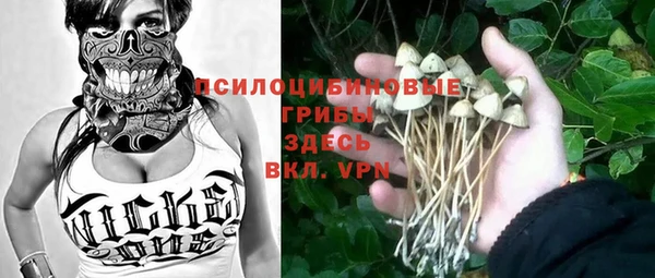 бутират Алексеевка