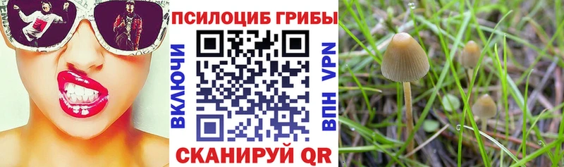 Галлюциногенные грибы мицелий  hydra онион  Усолье-Сибирское 