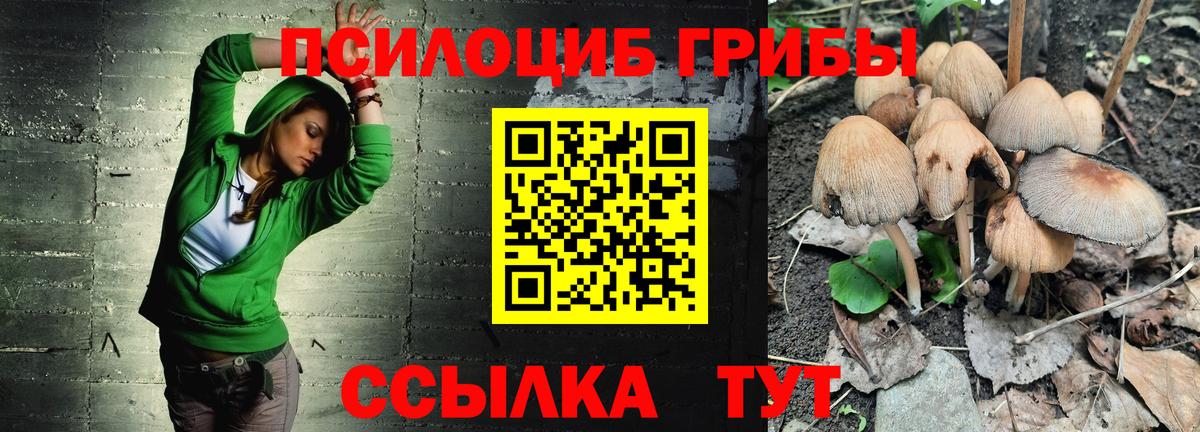 Усолье-Сибирское  Галлюциногенные грибы Cubensis  Галлюциногенные грибы прущие грибы  Вход с VPN 